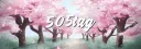 505 server banner