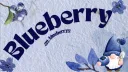 ⋆  ｡  ˚   ☁   ˚  ｡ Blueberry⋆  ｡  ˚  ☽  ˚  ｡ ⋆ banner