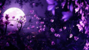 ⋆ ̇⟡ • Chill HarbourTM 🧃| So... banner