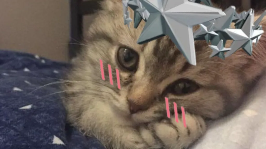 MP Discord server banner