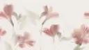 ⊹ 🌷 ꒰ Twilight ꒱𓂃 banner