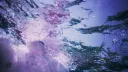 ❀ — guild（ ﬂirt ）୨୧ ꒱ა banner