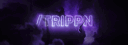 /trippn banner