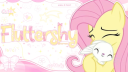 🌸 ノfluttershy ୨୧ tagsㆍgiveαwαysㆍsociαl server banner