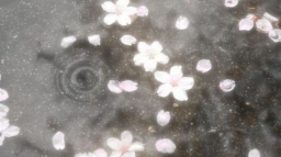 ₊ৎ 𝘰𝑑𝑒𝘵𝘵𝑒 . 𓂃◞ ⁺ server banner