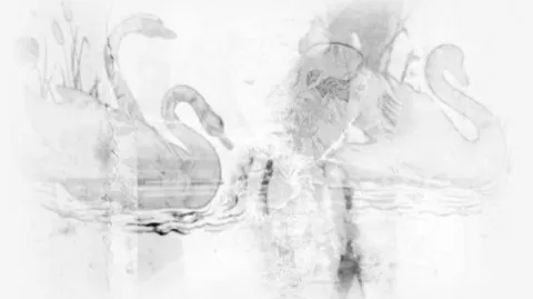 ₊ৎ 𝘰𝑑𝑒𝘵𝘵𝑒 . 𓂃◞ ⁺ social﹒gws﹒tags﹒friends﹒decor banner