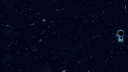 Frailtown banner