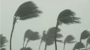 GREYFIVENINE (G59 TAG) banner