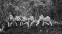 $> banner