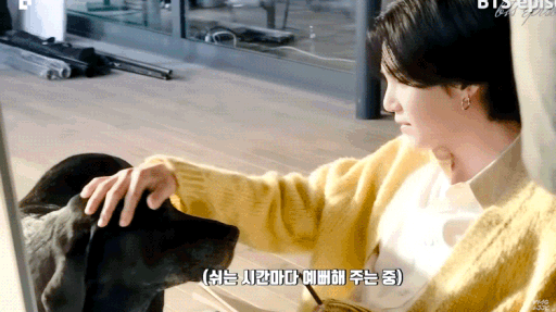 #슈가 guild Discord server banner