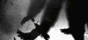 Souless 5m banner