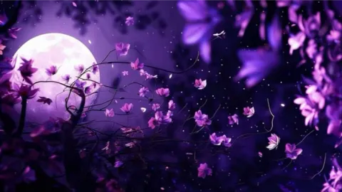 LunarLume banner