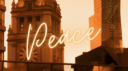Peace X Vibes Banner