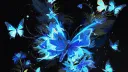 Asuka | :3 banner