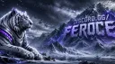 TEAM FEROCE banner