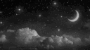 메모리얼 / 𝐌𝐞𝐦𝐨𝐫𝐢𝐚𝐥