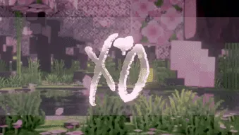 xo banner