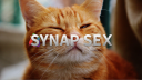 Synapse Cat Fan Club banner