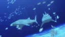 ⌒⌒ aquatic yume café 🪼 server banner