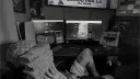 /caos banner