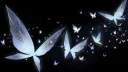 CIS banner