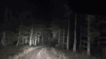 ?leco¿ Discord server banner