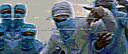 PUDDI IMMOBILISERS banner