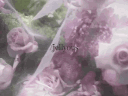 /𝒥ellyous 𓂃 ࣪𓇼 server banner