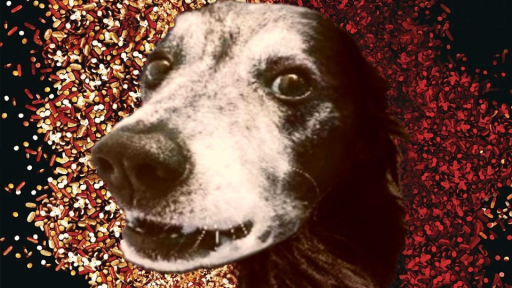 Trap Lounge Discord server banner