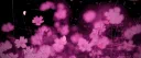 𝐏𝐞𝐭𝐚𝐥𝐬 & 𝐏𝐞𝐧𝐬𝐭𝐫𝐨𝐤𝐞𝐬 server banner