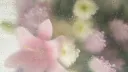 ׅׅ  𓈈̫  ཾ .gg/kur𝓔clipsee𓏼     ݁ 🌸ຽ𓂂ᣟ banner