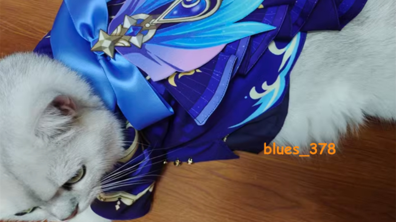 ⋆。꩜˚⋆ ̋C̋̋i̋̋n̋̋n̋̋a̋̋m̋̋ő̋n̋ ̋R̋̋ő̋l̋̋l̋ ⋆˚꩜。⋆ Discord server banner