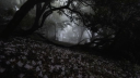 ✧ moonlit lullaby ✧ server banner