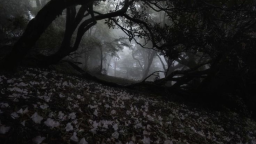 ✧ moonlit lullaby ✧ server banner