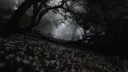 ✧ REM Worldwide ✧ Discord server banner