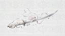 ✧ moonlit lullaby ✧ server banner