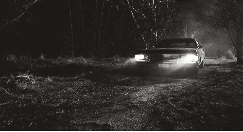 ᜴﹒The Empty﹒‹3 Discord server banner