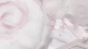 meow server banner