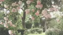 𝜗◟ᐩ༙ ❦ ྀི ayria † Discord server banner