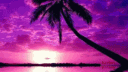 hasta"10 banner