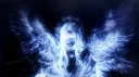 mizu banner
