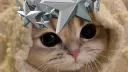 ๐๐๐๐๐๐๐ banner