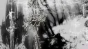 Weirdo banner