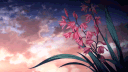 yul's sanctuary🌸⋆˚✿˖° banner
