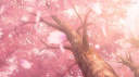 florescent | 𝘸𝘭𝘸 💘 banner