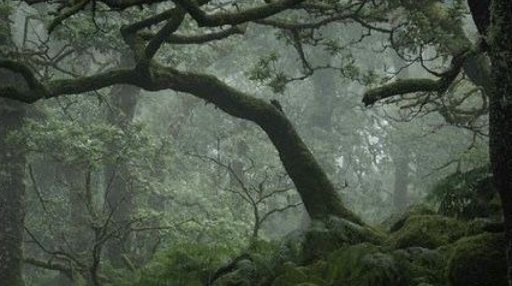 the convergence. Discord server banner