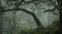 the convergence. server banner