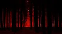 🩸Back to our Roots🩸 Discord server banner