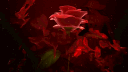 /dreadful banner