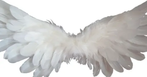 η‘γuζ΄oε οΎ|γ΅γγγγΌγγγγγ© banner
